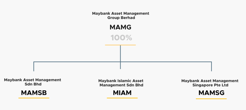 Organizational Structure